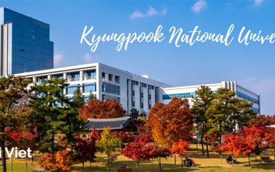 Trường Đại học Quốc gia Kyungpook Hàn Quốc – 경북대학교